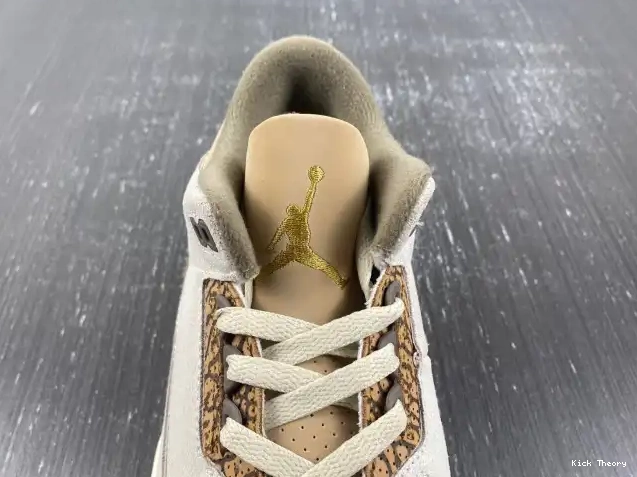 Kick Theory 3 Air CT8532-102 Palomino Jordan 0614